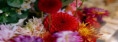 8. - 10.8. FLORIA LÉTO 2025 